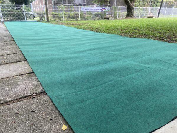 草地鋪綠色地毯