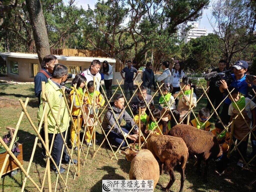 為動物服務的|食物森林 |阡景 公益環保