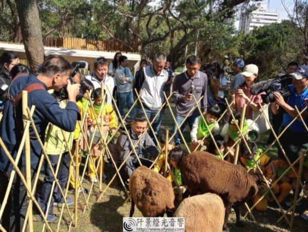 為動物服務的|食物森林