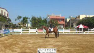 馬術比賽