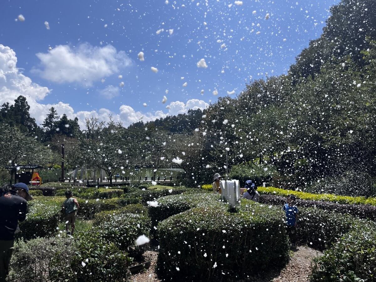 南投雪花機出租-3-1200x900 夏日奇蹟！雪花機打造清境高空步道夢幻雪景