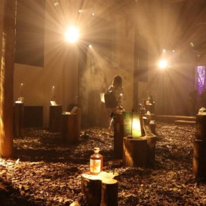 穿霧之境.臺灣霧林帶的文化流動