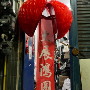 🎉開幕啟動必備｜彩花開花禮球 🎉(手動)