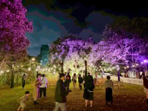 戶外婚禮夜間燈光規劃