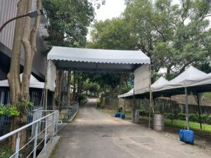 挑高帳篷 6*3帳篷 通道帳