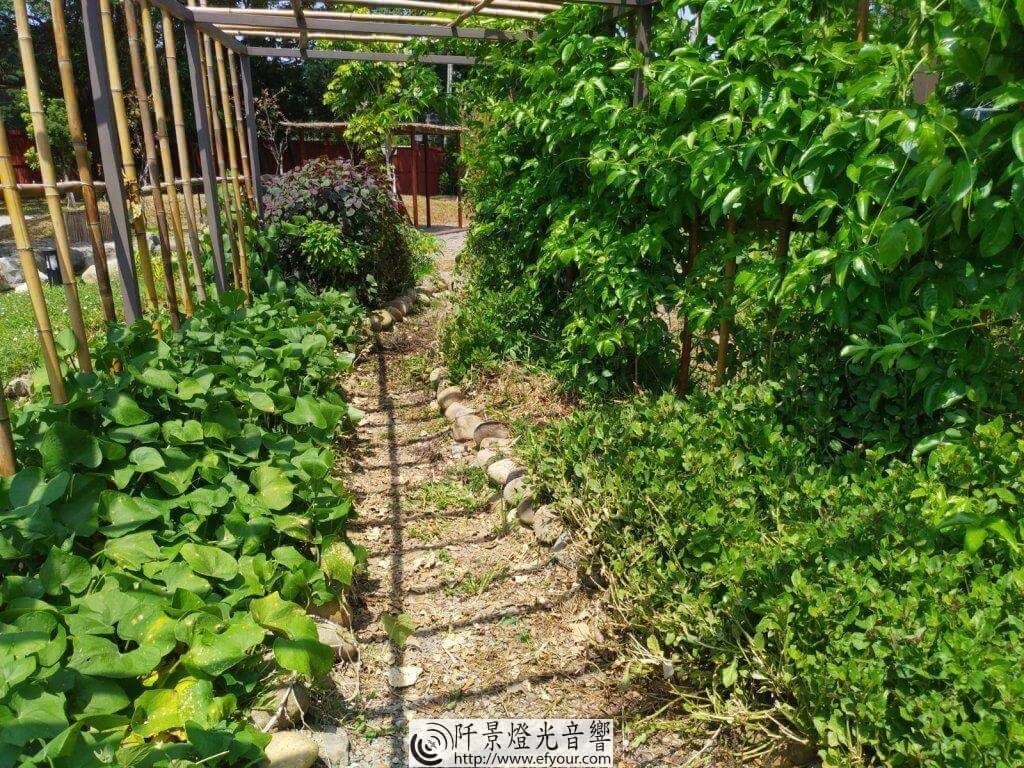 IMG_20190903_104343-1024x768 食物森林志工招募記者說明會