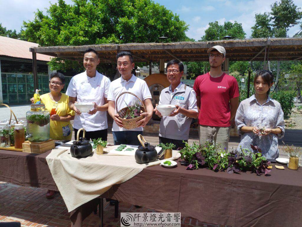 IMG_20190903_114346-1024x768 將軍村-食物森林 啟用