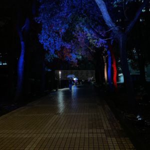 樹木環境照明規劃