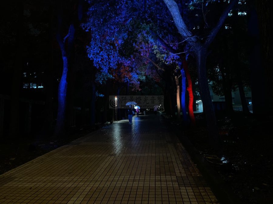 樹木環境照明規劃 |阡景 LED燈