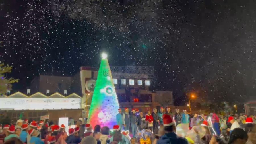 彰化田中公所雪白耶誕樹 人工雪機出租(有影片) |阡景 聖誕樹