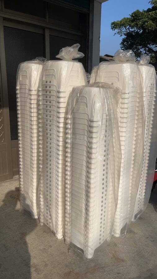 白色塑膠矮椅子小朋友白色椅子-2-506x900 白色塑膠矮椅子(小朋友白色椅子)